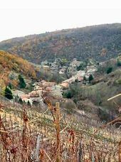 Domaine Gaillard Cote Rotie